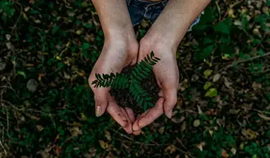 Learn more about Sustainability Commitment